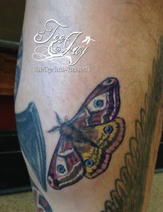 moth tattoo