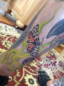moth tattoo