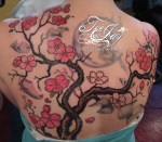 IMG_5273cherryblossoms