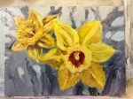 daffodilsIMG_7259