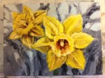 daffodilsIMG_7267