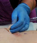 20160607_133618_resized