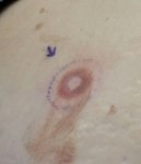 20160607_133638_resized