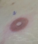 20160607_134736_resized