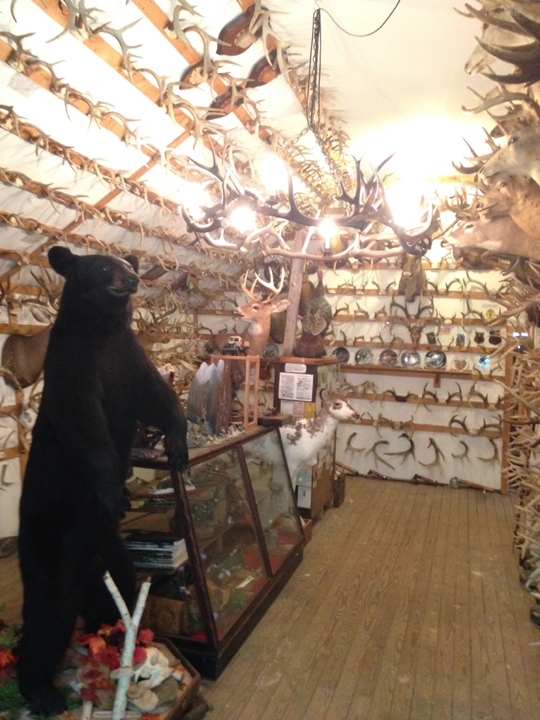 inside the antler shed second floor main building