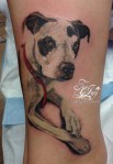 dogportraittattoo