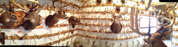 panoramic shot interior of the Antler Shed