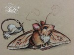 Day016MothMouse