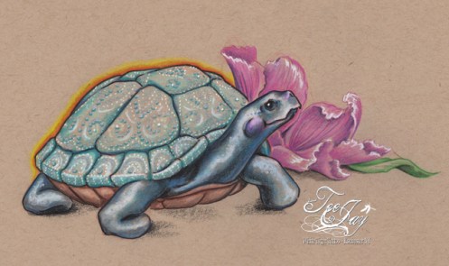 fancy shelled tortoise