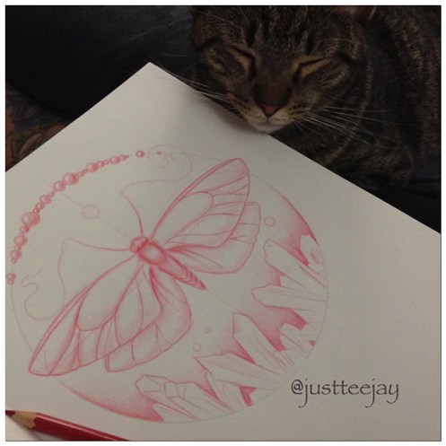 Day028Catsupervision