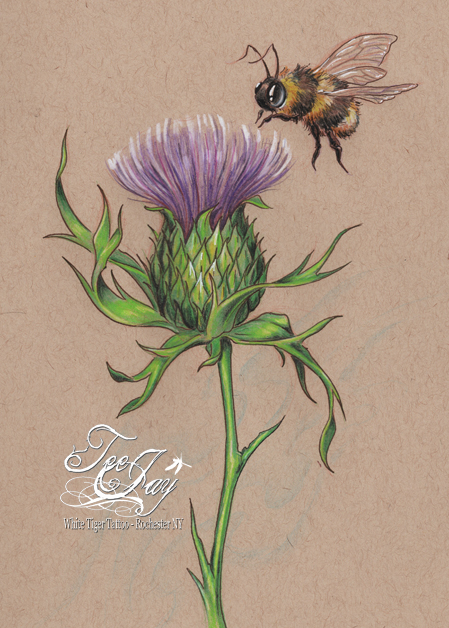 thistle and bee