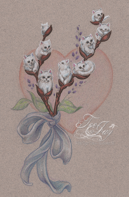 pussy willow kitties