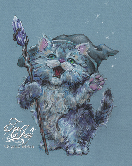 wizard kitty