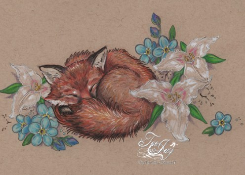 sleeping fox