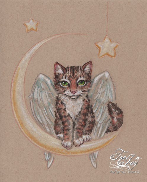 cat in the moon