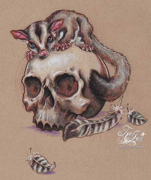 sugar (gllider) skull