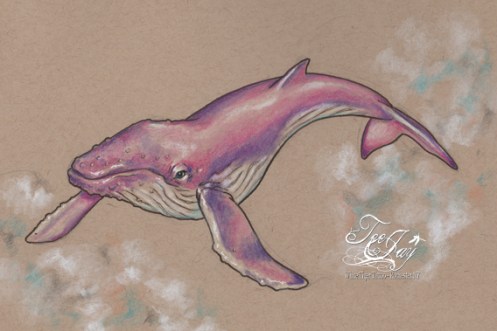 flying pink whale