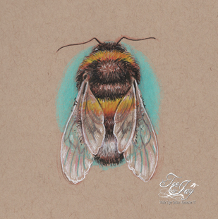 teeny fluffy bumble bee