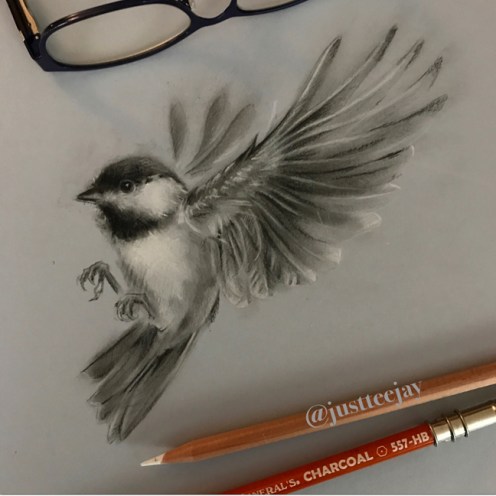 chickadee in charcoal