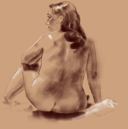 figure drawing female back