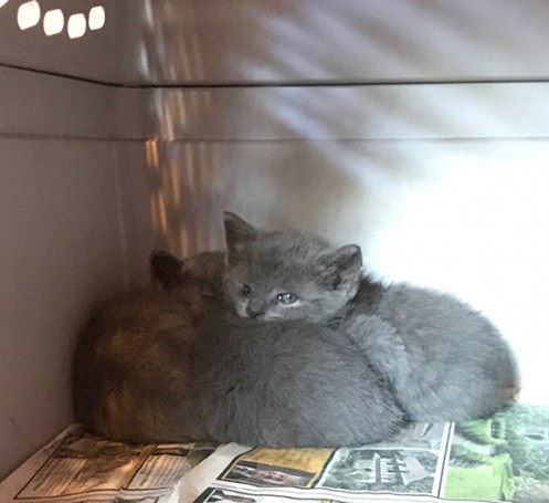 firstdaythreeIMG_0280