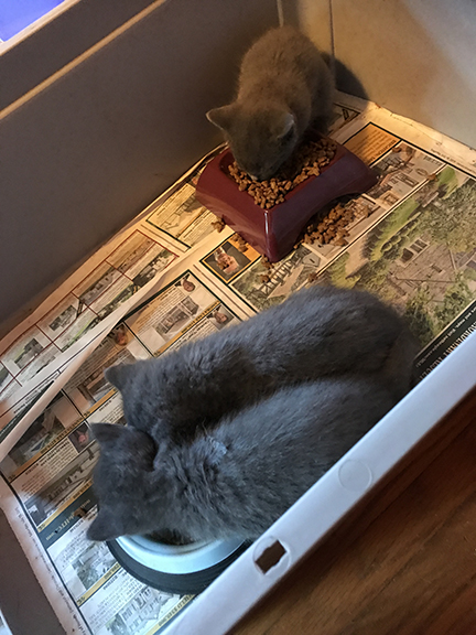 firstdaythreeinboxIMG_1152