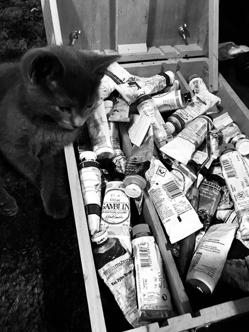 kitten with oil paint