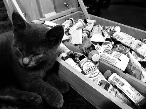 kitten with oil paint