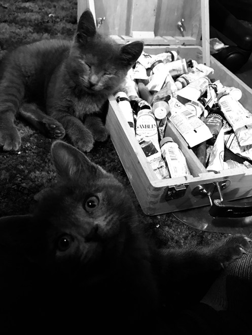 kittens with oil paint