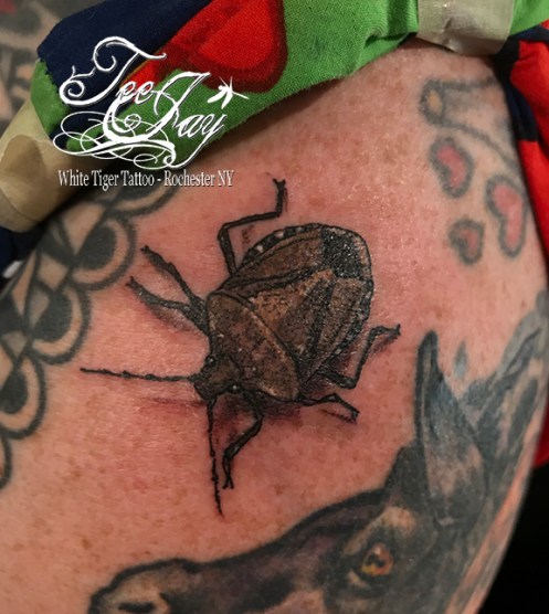 stink bug tattoo