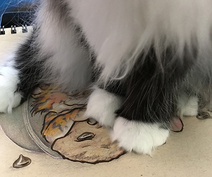 DrawingInspectorAnora