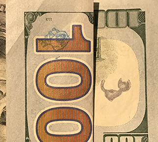 cat and dog stamp on $100